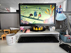 Ergonomic Monitor Riser & Desk Organizer